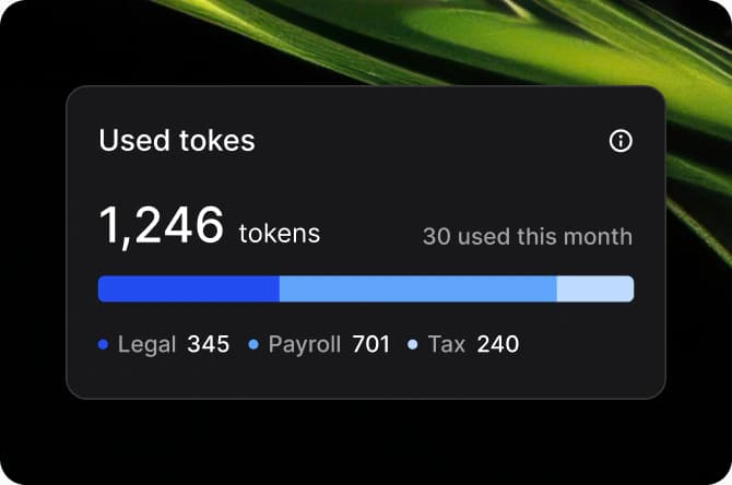 Used tokens card showing 1,246 tokens with legal, payroll and tax usage split across a progress bar